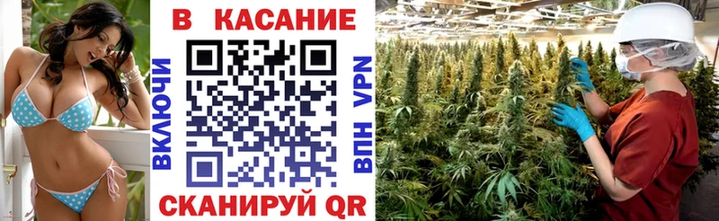 Псилоцибиновые грибы Сортавала